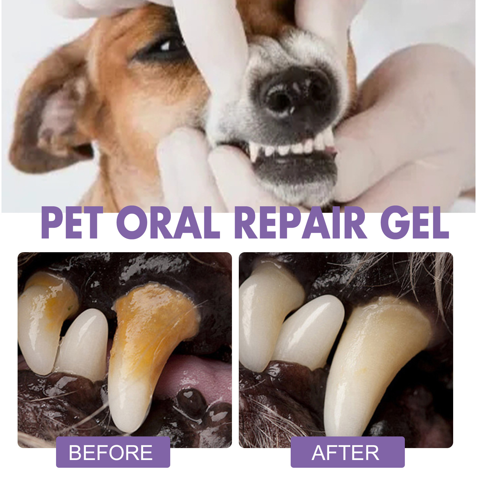Gel de reparação oral para ani - Teeth Whitening Near Me avaliação e preço