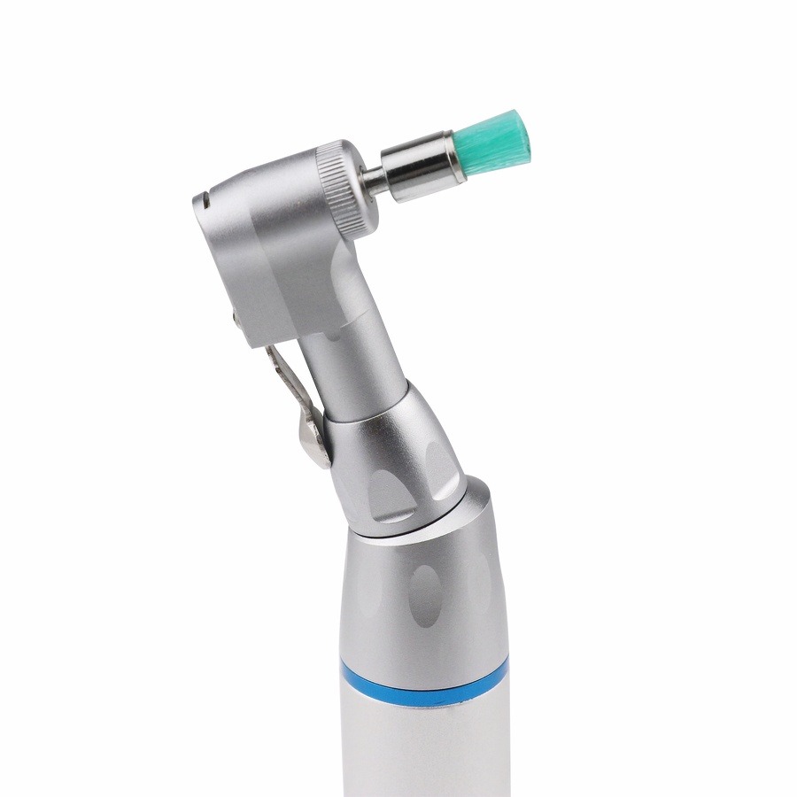 100 unidades/saco Escova Polid - Whitening Teeth Dentist avaliação e preço